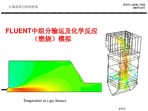 fluent教程 第五章,燃烧模拟解析