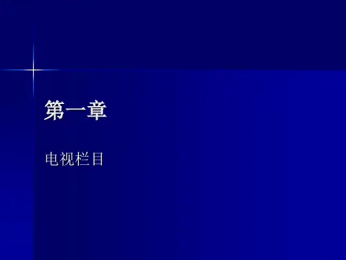 第二章电视栏目