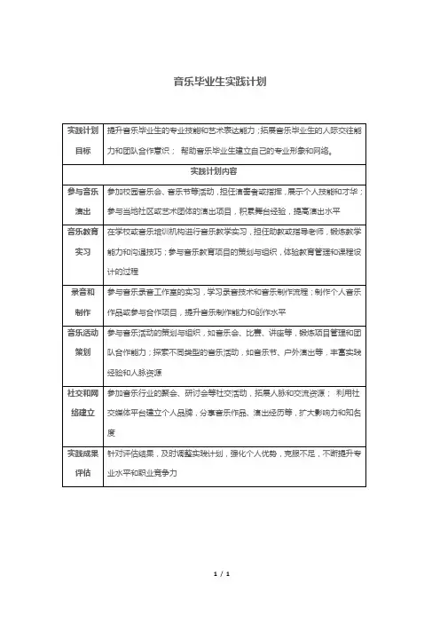 音乐毕业生实践计划