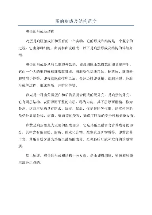 蛋的形成及结构范文