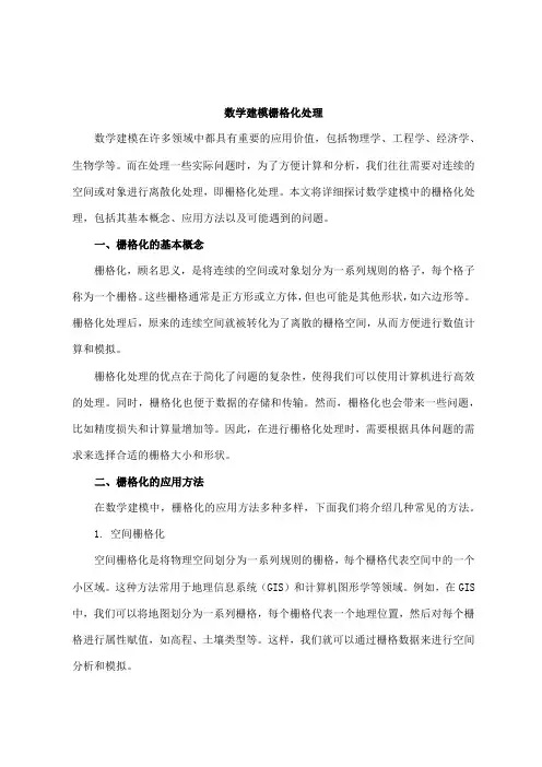 数学建模栅格化处理