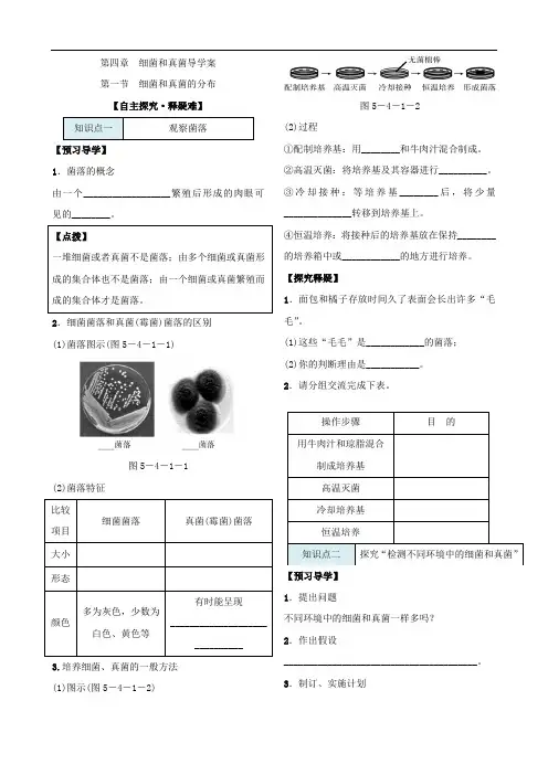人教版八年级生物上册 细菌和真菌的分布导学案金品