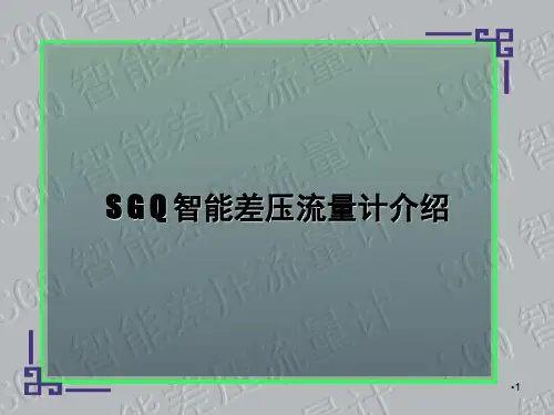 SGQ智能流量计使用说明PPT课件