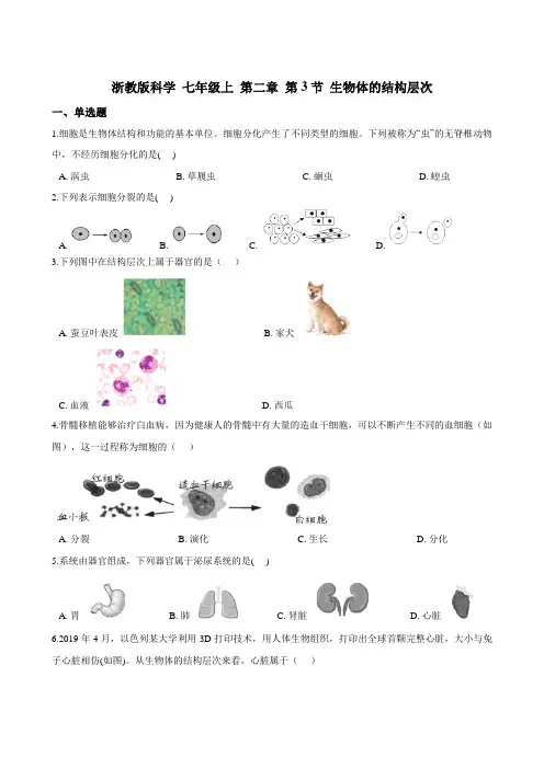 七上 第二章 第3节 生物体的结构层次 同步练习(含解析)