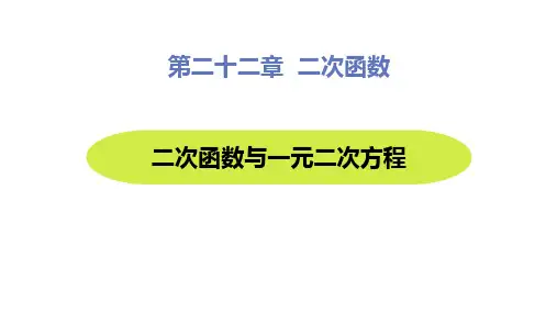 人教版九年级数学上册《二次函数与一元二次方程》二次函数PPT优质课件