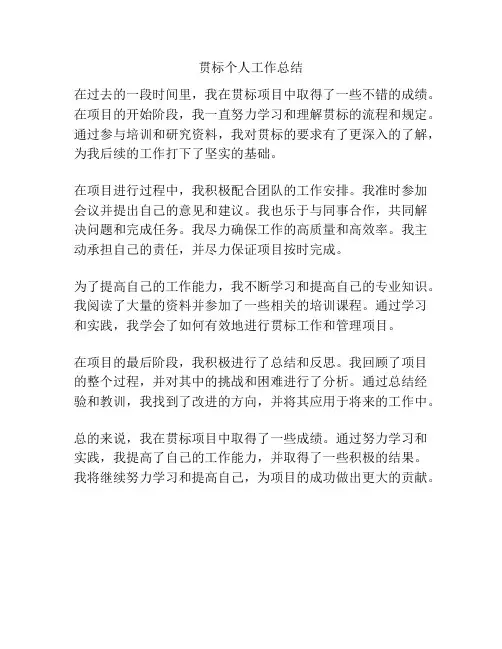 贯标个人工作总结