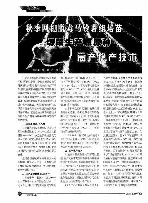 秋季网棚脱毒马铃薯组培苗切段生产原原种高产稳产技术