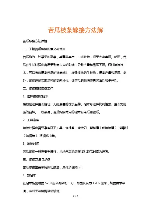 苦瓜枝条嫁接方法解