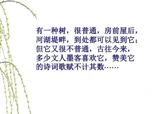 六年级下册语文优秀课件5.17《 杨柳》湘教版 (共31张ppt)