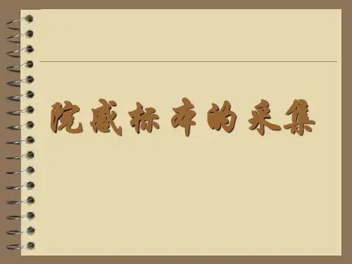 院感标本的采集 PPT课件