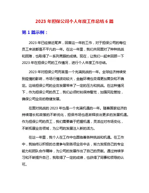 2023年担保公司个人年度工作总结6篇