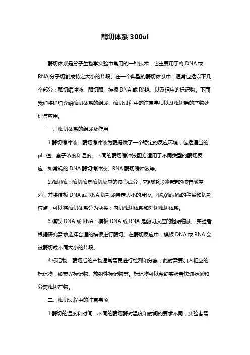 酶切体系300ul
