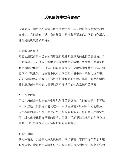 厌氧菌的种类有哪些？
