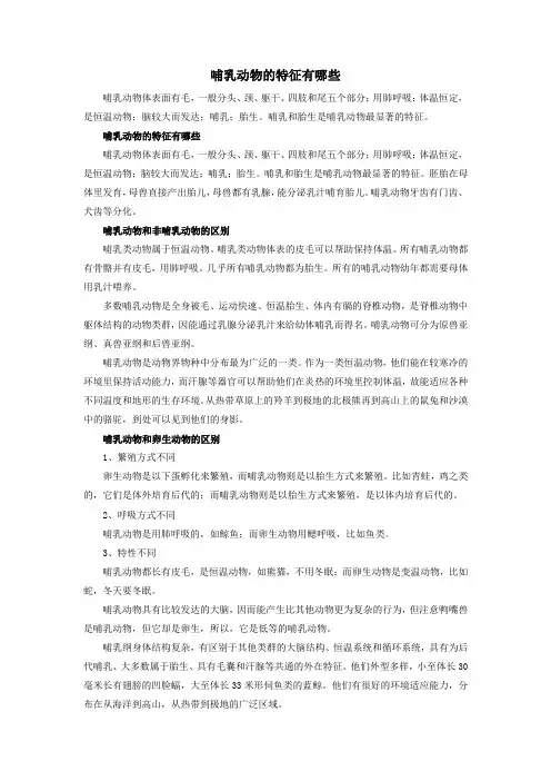 哺乳动物的特征有哪些