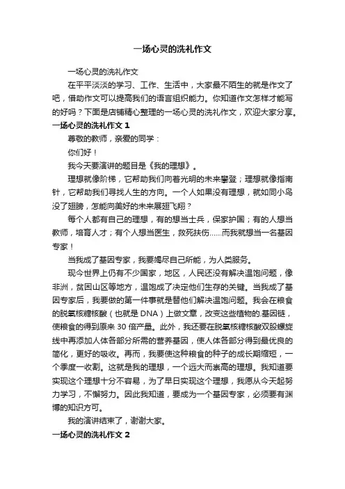 一场心灵的洗礼作文