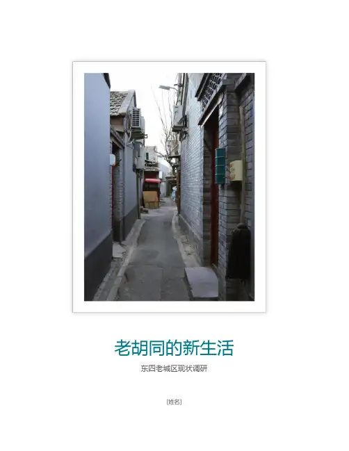 东四胡同现状调研