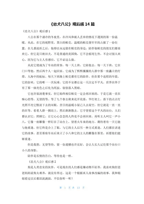 《忠犬八公》观后感14篇