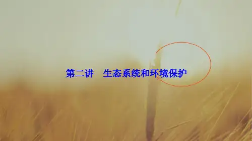 2018届高三生物高考二轮复习书讲解课件第一部分 专题六 生物与环境 第二讲 生态系统和环境保护