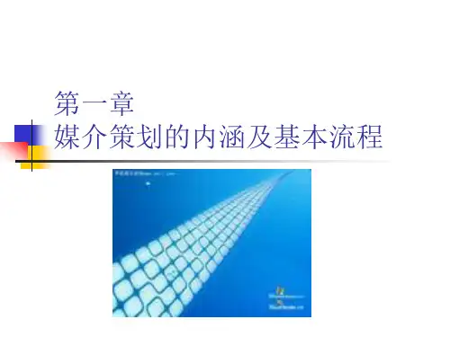 第一章-广告策划的内涵及基本流程