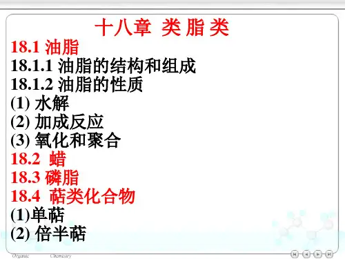 第十八章类脂类