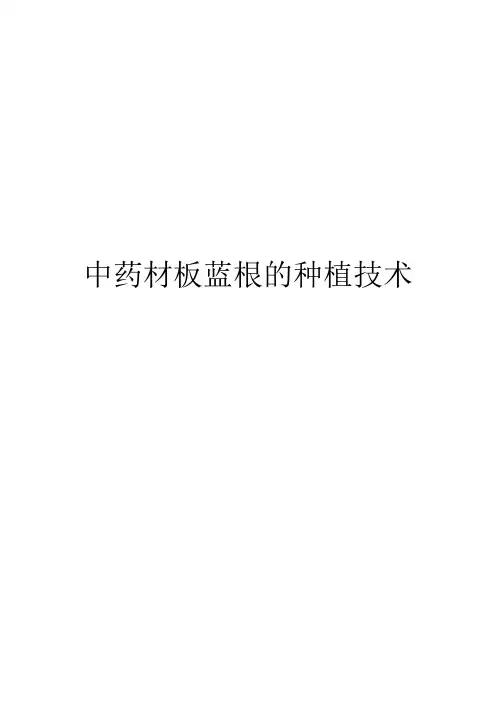 中药材板蓝根的种植技术