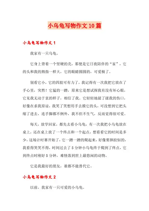 小乌龟写物作文10篇