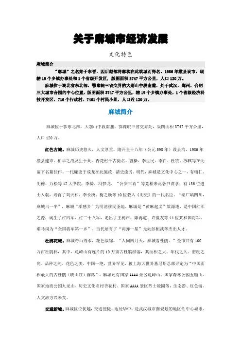 麻城经济发展调查
