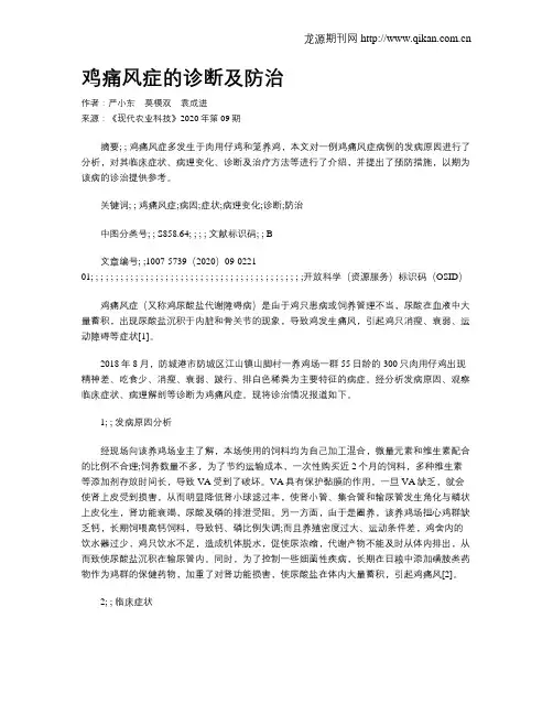 鸡痛风症的诊断及防治
