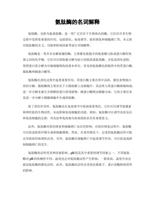 氨肽酶的名词解释