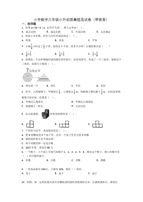 小学数学六年级小升初质量提高试卷(带答案)