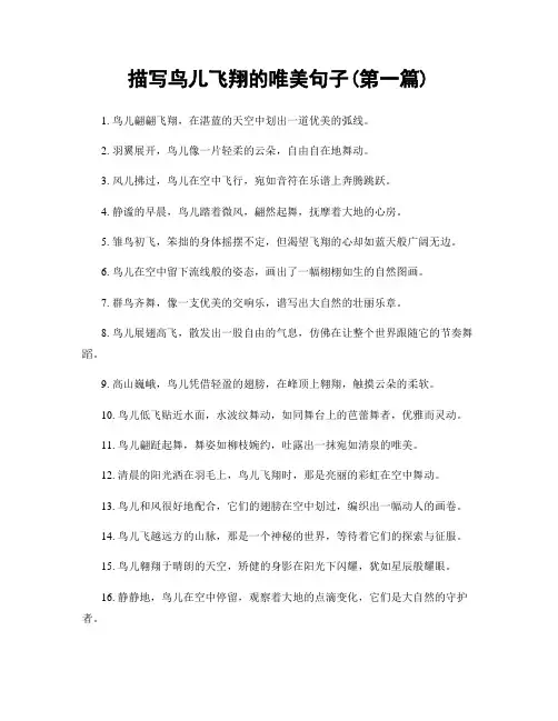描写鸟儿飞翔的唯美句子(精选合集两篇)