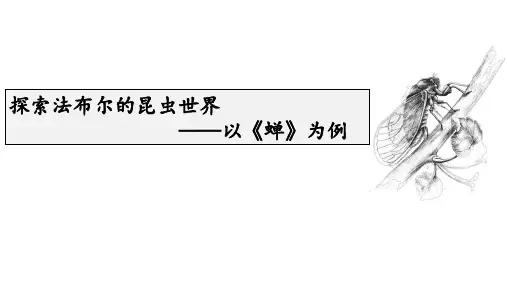 探索法布尔的昆虫世界——以《蝉》为例ppt课件