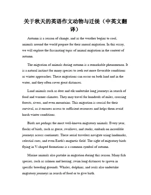 关于秋天的英语作文动物与迁徙(中英文翻译)