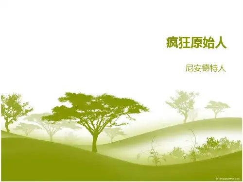 疯狂原始人——尼安德特人