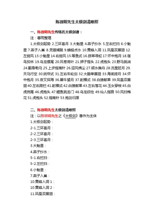 陈微明先生太极剑清晰照