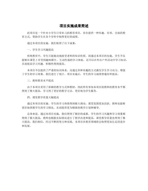 项目实施成果简述