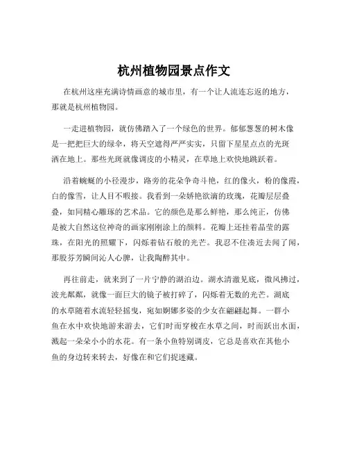 杭州植物园景点作文