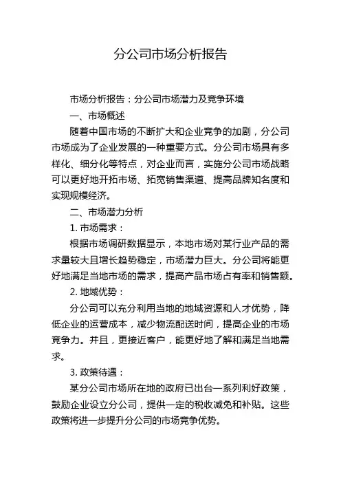 分公司市场分析报告