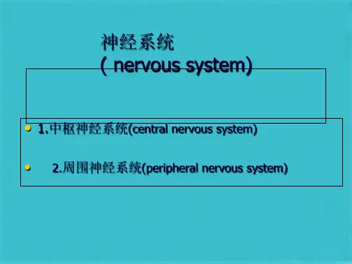 神经系统的体表定位(曹曦光)(共67张PPT)