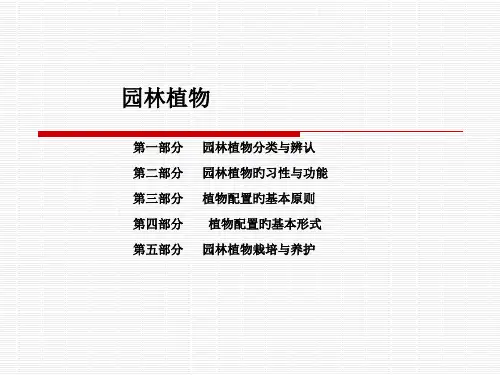 园林植物分类