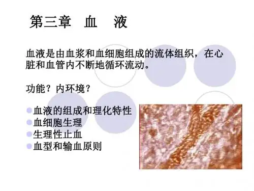 血液的组成和理化特性