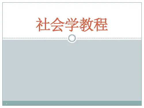 社会组织ppt课件