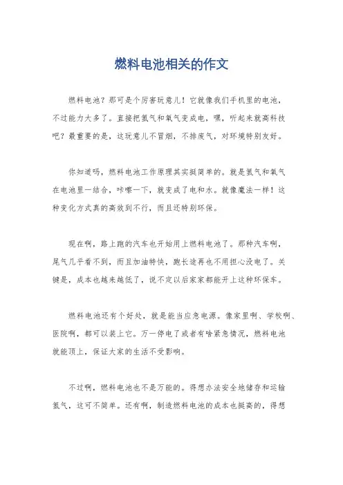 燃料电池相关的作文