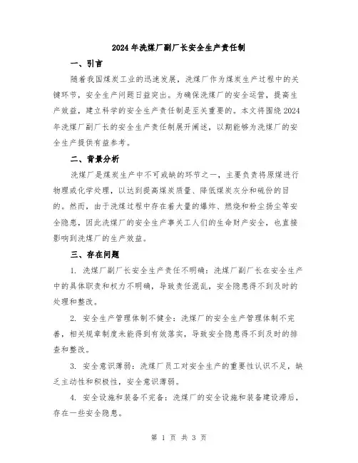2024年洗煤厂副厂长安全生产责任制