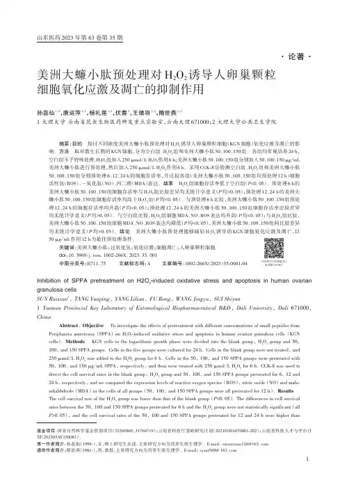 美洲大蠊小肽预处理对H2O2诱导人卵巢颗粒细胞氧化应激及凋亡的抑制作用