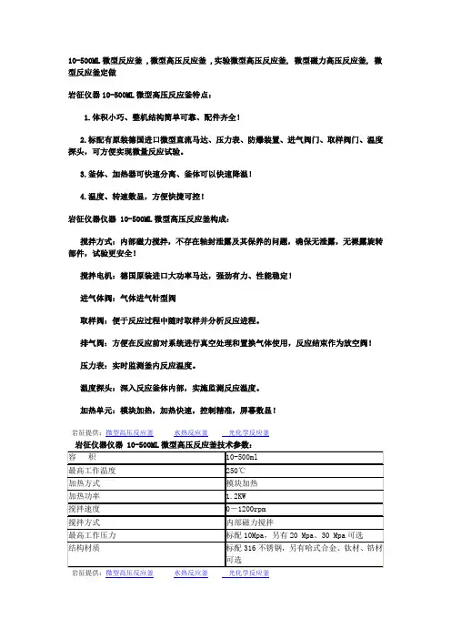 微型高压反应釜 文档