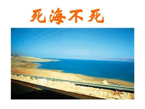 《死海不死》ppt