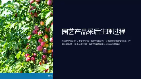 园艺产品采后生理过程