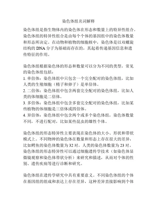 染色体组名词解释