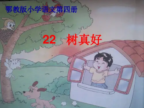 《树真好》课件